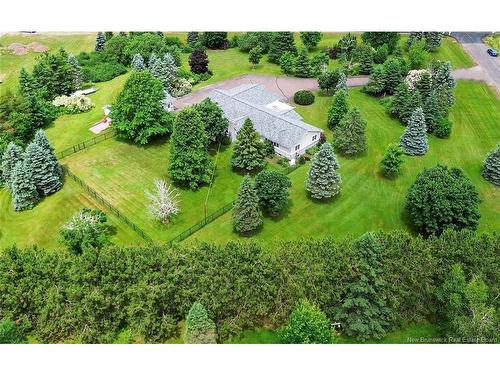 9 Stirling Cres, Allison, NB 