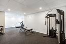 Salle d'exercice - 403-5480 Av. Henri-Julien, Montréal (Le Plateau-Mont-Royal), QC  - Indoor Photo Showing Gym Room 