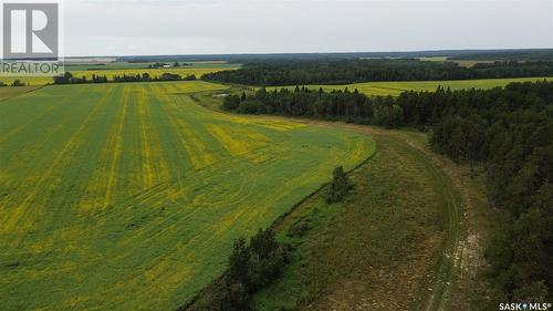 White Farm, Torch River Rm No. 488, SK 