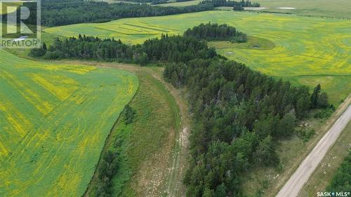 White Farm, Torch River Rm No. 488, SK 