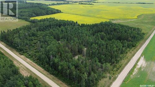 White Farm, Torch River Rm No. 488, SK 