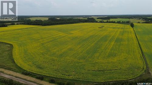 White Farm, Torch River Rm No. 488, SK 
