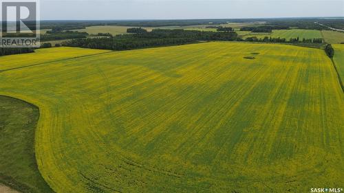 White Farm, Torch River Rm No. 488, SK 