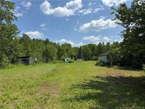 5569 Route 134, Allardville, NB 