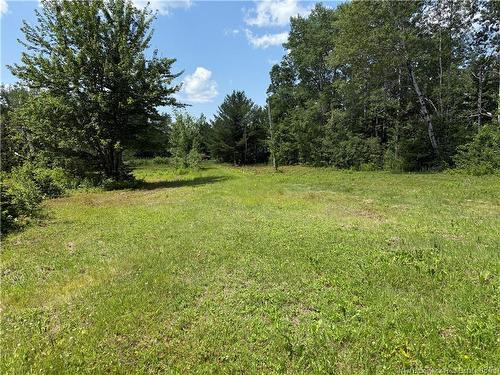 5569 Route 134, Allardville, NB 