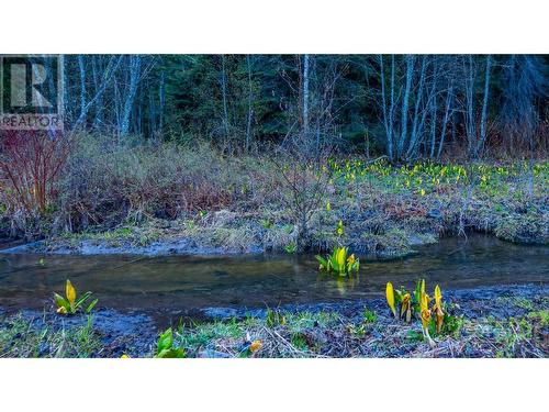 1097 Lakeview Arrow Creek Road, Creston, BC - Outdoor With View