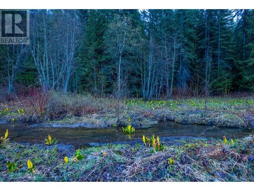 1097 Lakeview Arrow Creek Road, Creston, BC - Outdoor With View