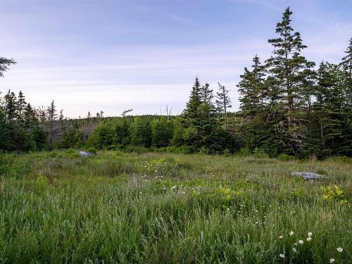 Lot B-4 Highway 7, Popes Harbour, NS 