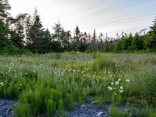 Lot B-4 Highway 7, Popes Harbour, NS 
