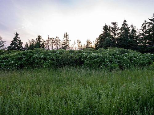 Lot B-4 Highway 7, Popes Harbour, NS 