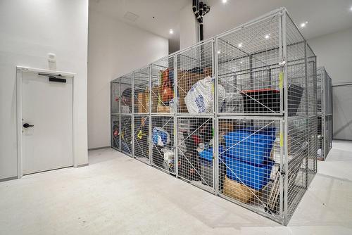 Rangement - 1005-3045 Boul. De L'Assomption, Montréal (Mercier/Hochelaga-Maisonneuve), QC - Indoor With Storage