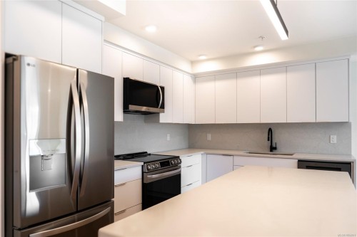 507-45 Haliburton St, Nanaimo, BC - Indoor Photo Showing Kitchen With Upgraded Kitchen
