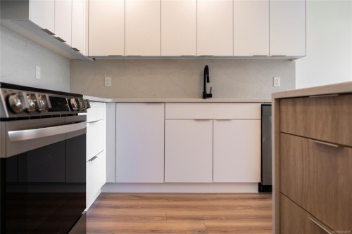 507-45 Haliburton St, Nanaimo, BC - Indoor Photo Showing Kitchen