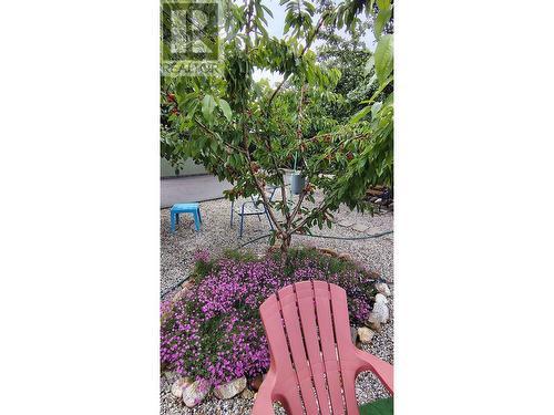 409 Polson Avenue, Enderby, BC 