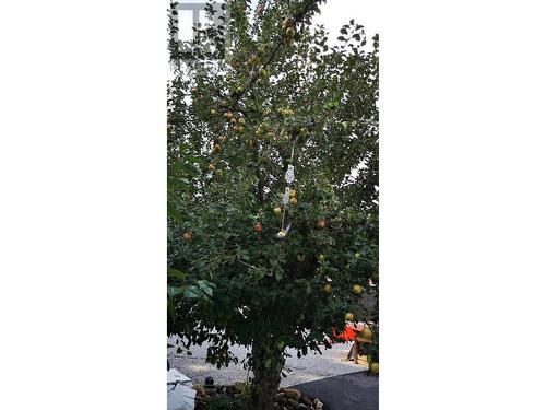 409 Polson Avenue, Enderby, BC 