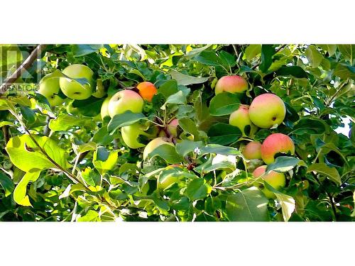 409 Polson Avenue, Enderby, BC 