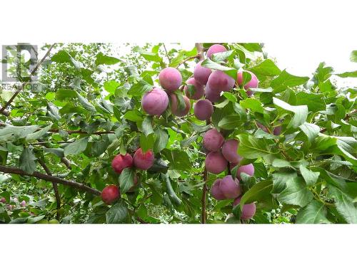 409 Polson Avenue, Enderby, BC 