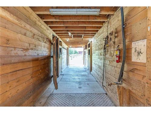 252 Ammon, Ammon, NB 