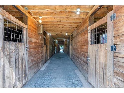 252 Ammon, Ammon, NB 