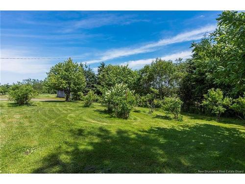 252 Ammon, Ammon, NB 