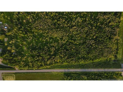 Lot Doucet Rd, Green River, NB 