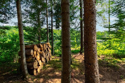 Accès au plan d'eau - Ch. Olivier-Paradis, Labelle, QC 