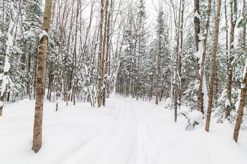 Terre/Terrain - Ch. Olivier-Paradis, Labelle, QC 