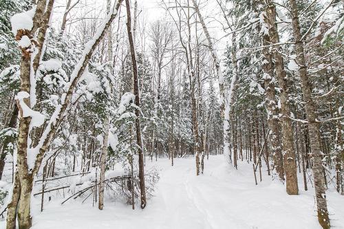 Terre/Terrain - Ch. Olivier-Paradis, Labelle, QC 
