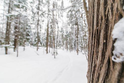 Terre/Terrain - Ch. Olivier-Paradis, Labelle, QC 