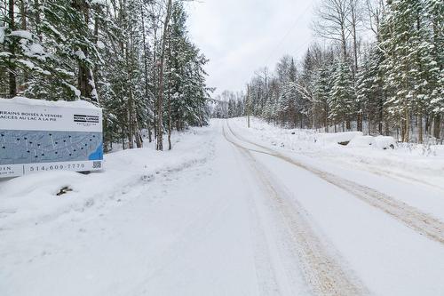 Rue - Ch. Olivier-Paradis, Labelle, QC 