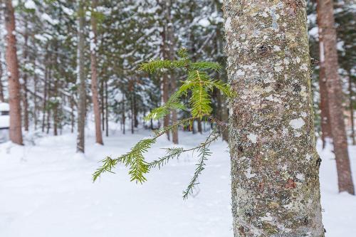 Terre/Terrain - Ch. Olivier-Paradis, Labelle, QC 