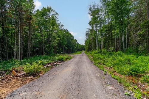 Rue - Ch. Olivier-Paradis, Labelle, QC 