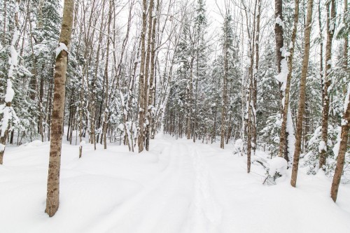 Terre/Terrain - Ch. Olivier-Paradis, Labelle, QC 