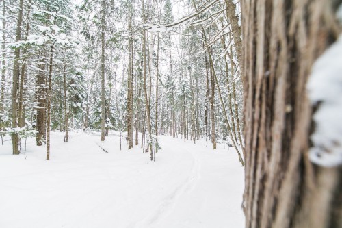 Terre/Terrain - Ch. Olivier-Paradis, Labelle, QC 
