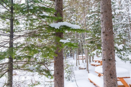Accès au plan d'eau - Ch. Olivier-Paradis, Labelle, QC 