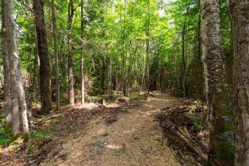Boisé - Ch. Olivier-Paradis, Labelle, QC 