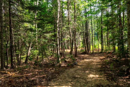 Boisé - Ch. Olivier-Paradis, Labelle, QC 