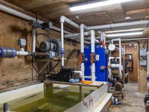 39 Prospect Point Road, Shag Harbour, NS 