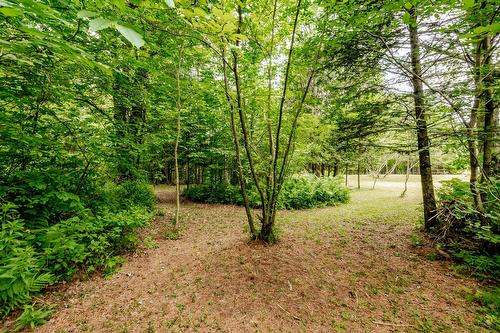 Terre/Terrain - 695 Ch. De Stanstead, Ogden, QC 