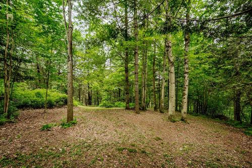 Terre/Terrain - 695 Ch. De Stanstead, Ogden, QC 