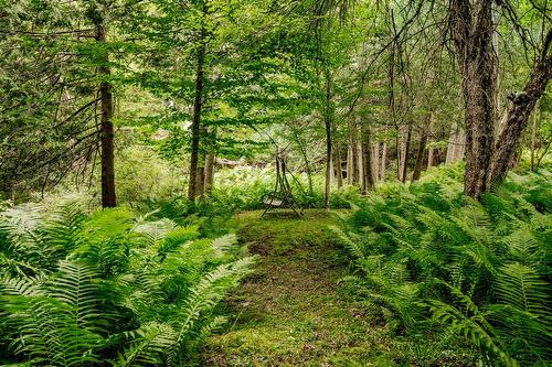 Terre/Terrain - 695 Ch. De Stanstead, Ogden, QC 