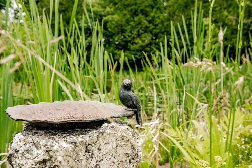 Terre/Terrain - 695 Ch. De Stanstead, Ogden, QC 