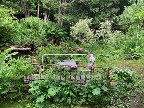 Terre/Terrain - 695 Ch. De Stanstead, Ogden, QC 