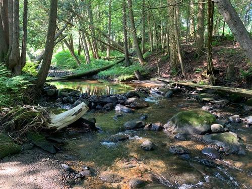 Terre/Terrain - 695 Ch. De Stanstead, Ogden, QC 