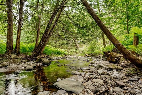 Terre/Terrain - 695 Ch. De Stanstead, Ogden, QC 