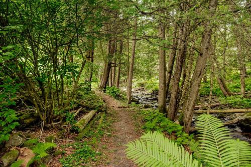 Boisé - 695 Ch. De Stanstead, Ogden, QC 