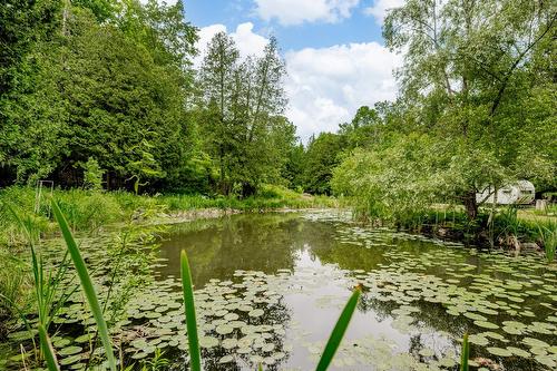 Terre/Terrain - 695 Ch. De Stanstead, Ogden, QC 