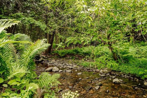 Autre - 695 Ch. De Stanstead, Ogden, QC 