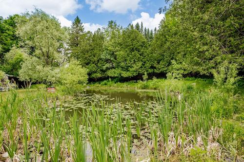 Terre/Terrain - 695 Ch. De Stanstead, Ogden, QC 