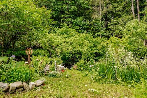 Terre/Terrain - 695 Ch. De Stanstead, Ogden, QC 